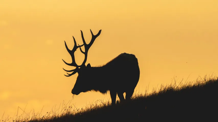 Enterprise of a Great Moment